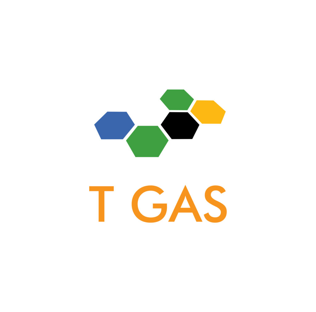 T-GAS